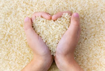 Rice